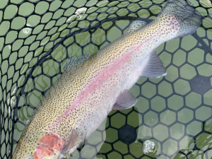 12月23日（火）国立市　K.Tさん