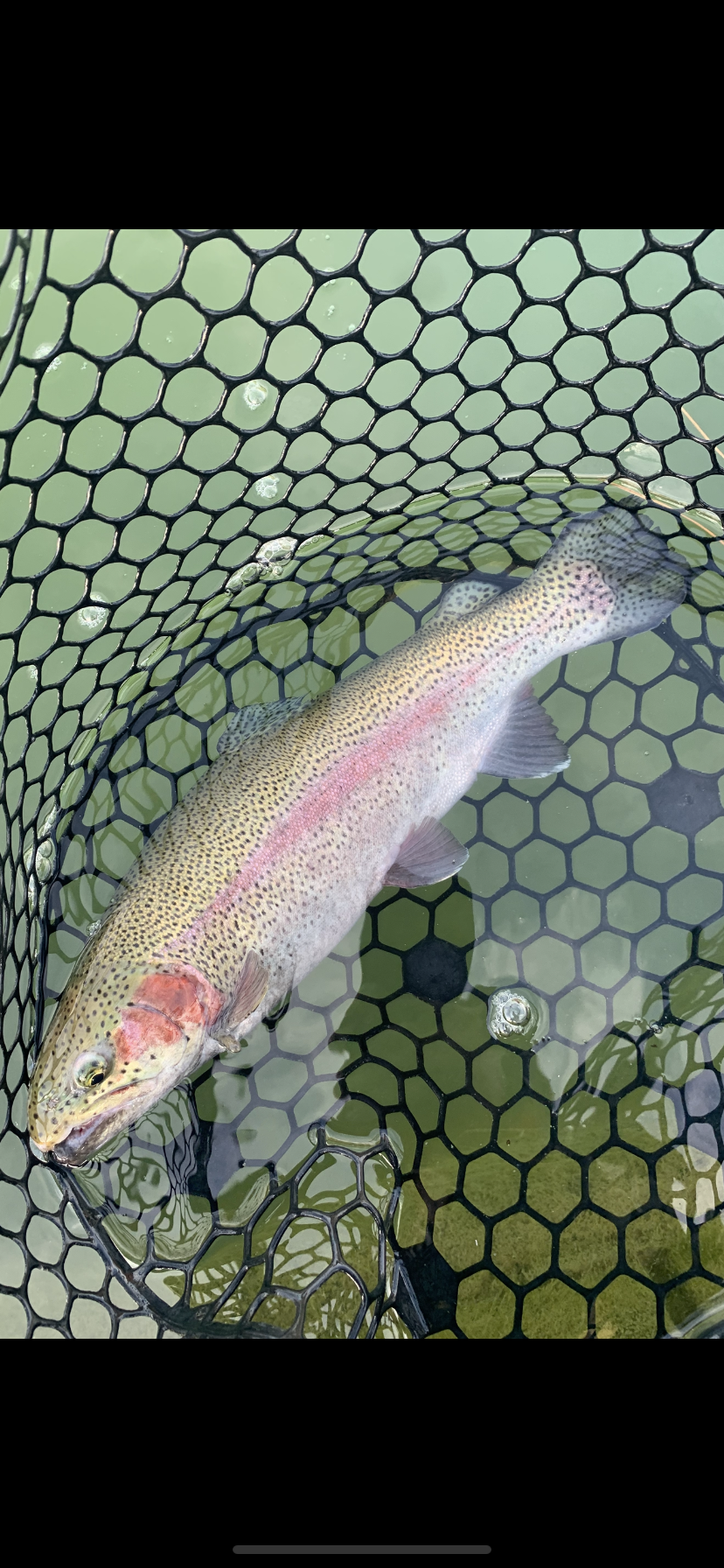 12月23日（火）国立市東　K.Tさん