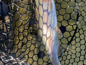 12月26日(金)　国立市　K.Tさん