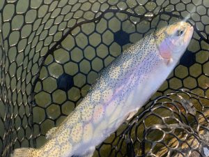 12月28日（日）国立市　K.Tさん