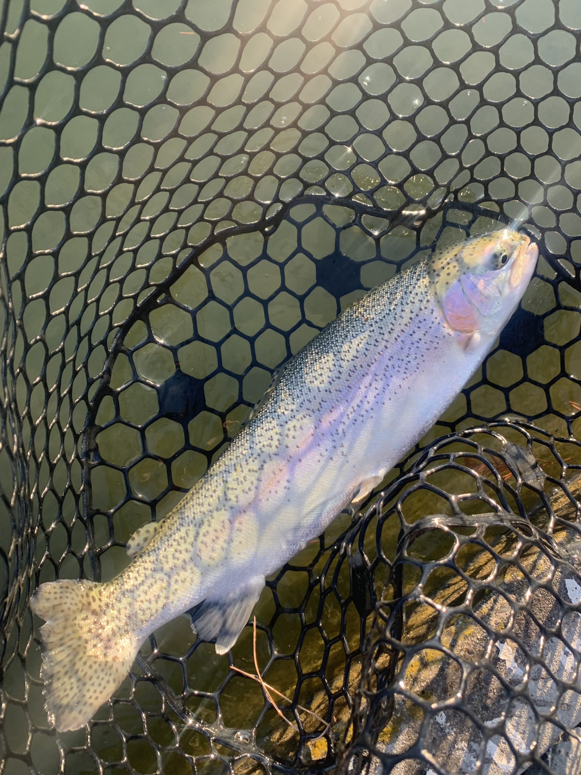 12月28日（日）国立市　K.Tさん