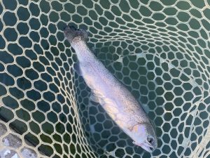 12月7日（日）浦安市　ｋｐさん