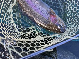 12月29日(月)　八王子市　HGさん