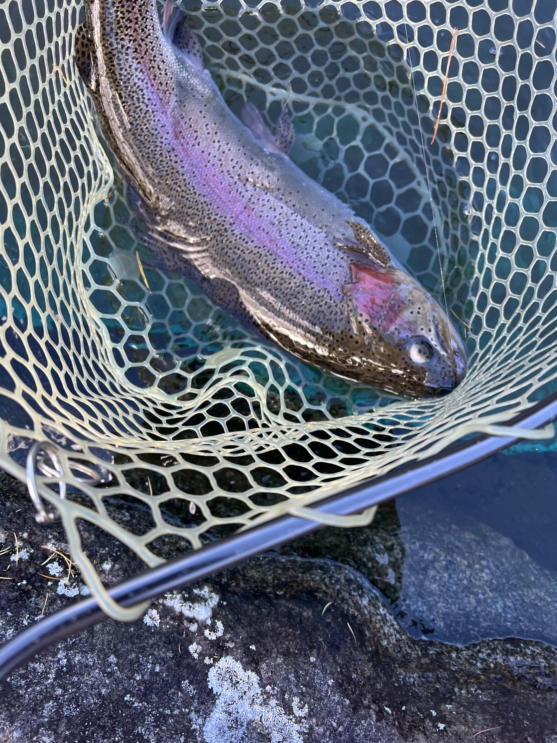 12月29日(月)　八王子市　HGさん