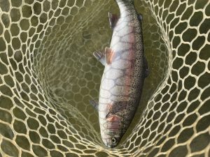 12月9日（火）八王子市　HGさん