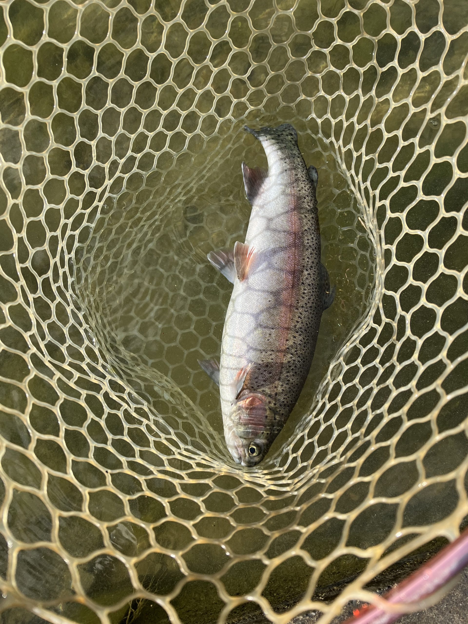 12月9日（火）八王子市　HGさん