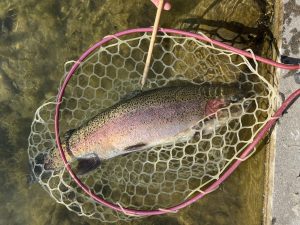 12月19日（金）八王子市　HGさん