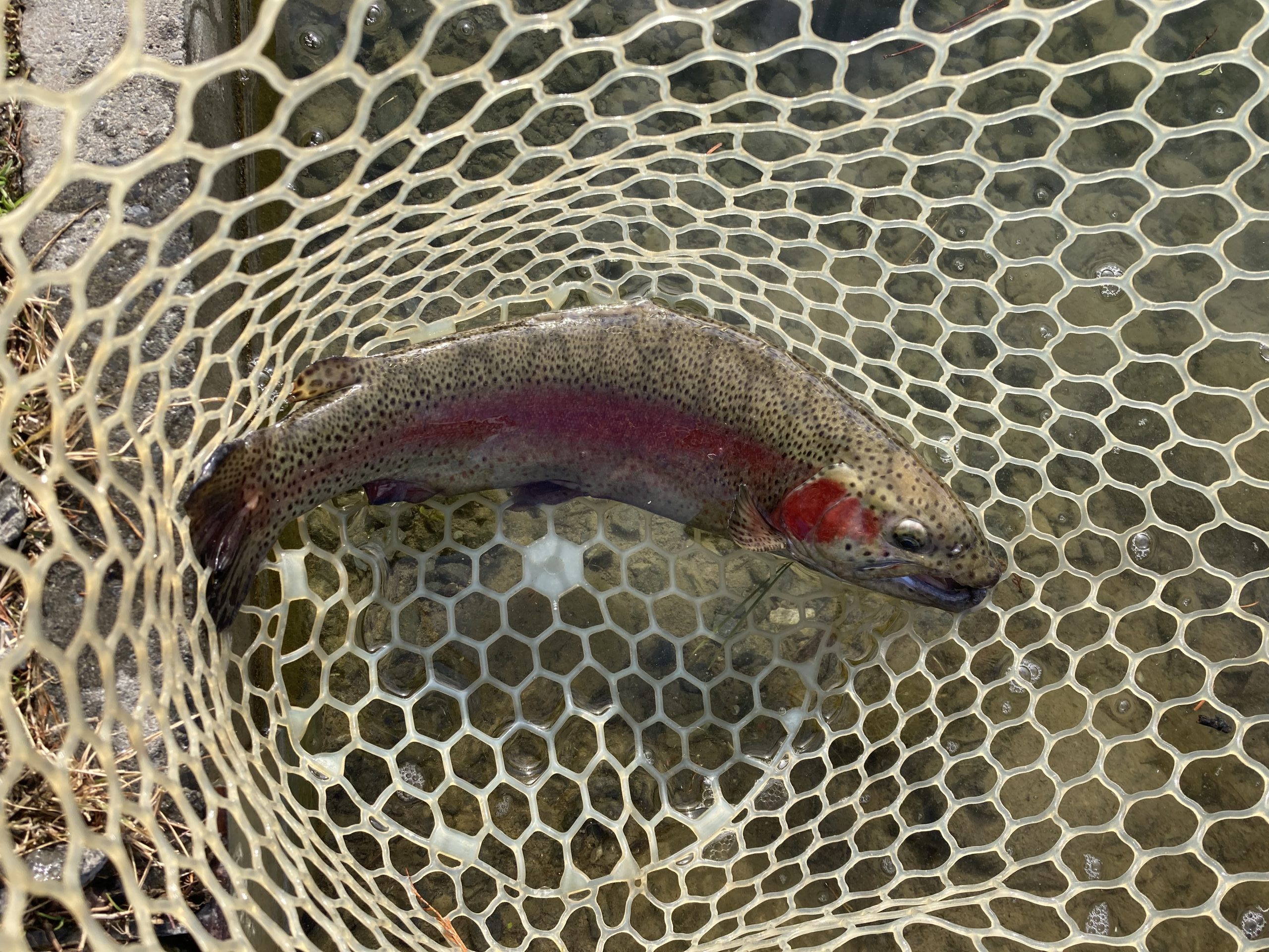 12月19日(金)あきる野市 野口さん