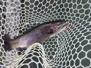 12月6日（土）羽村市　うにねこさん