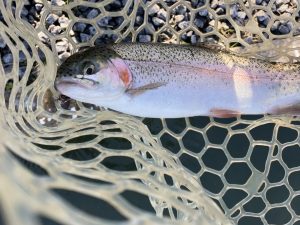 12月8日（月）羽村市　うにねこさん