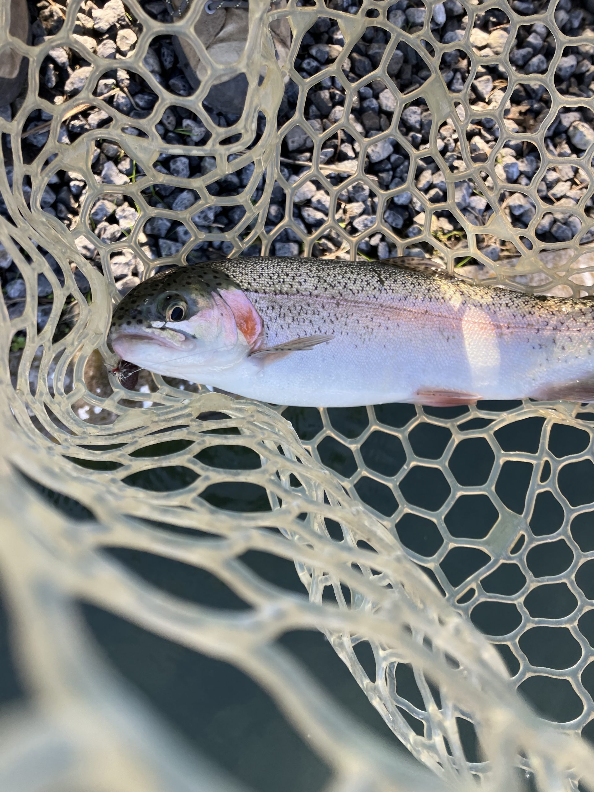 12月8日（月）羽村市　うにねこさん