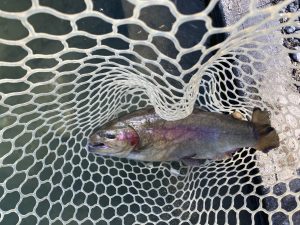 12月13日（土）羽村市　うにねこさん