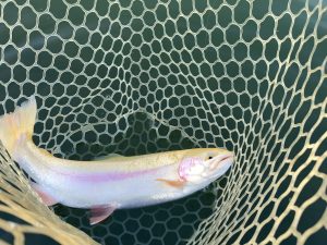 12月13日（土）武蔵村山市　つきてくさん