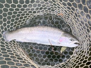 12月26日(金)　小平市　MORIさん