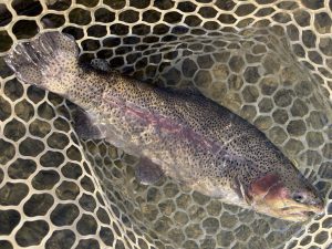 12月8日（月）青梅市　AO　さん