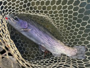 12月29日(月)　青梅市　AOさん