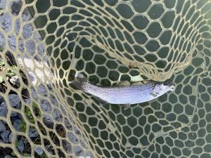 12月5日（金）立川市　ゆきふくさん