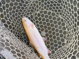 12月26日(金)　立川市　ゆきふくろうさん