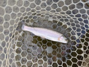 12月5日（金）青梅市　鈴木さん