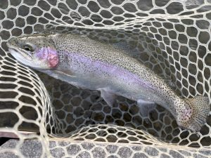 12月12日(金)　鈴木さん