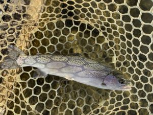 12月17日（水）青梅市　鈴木　さん