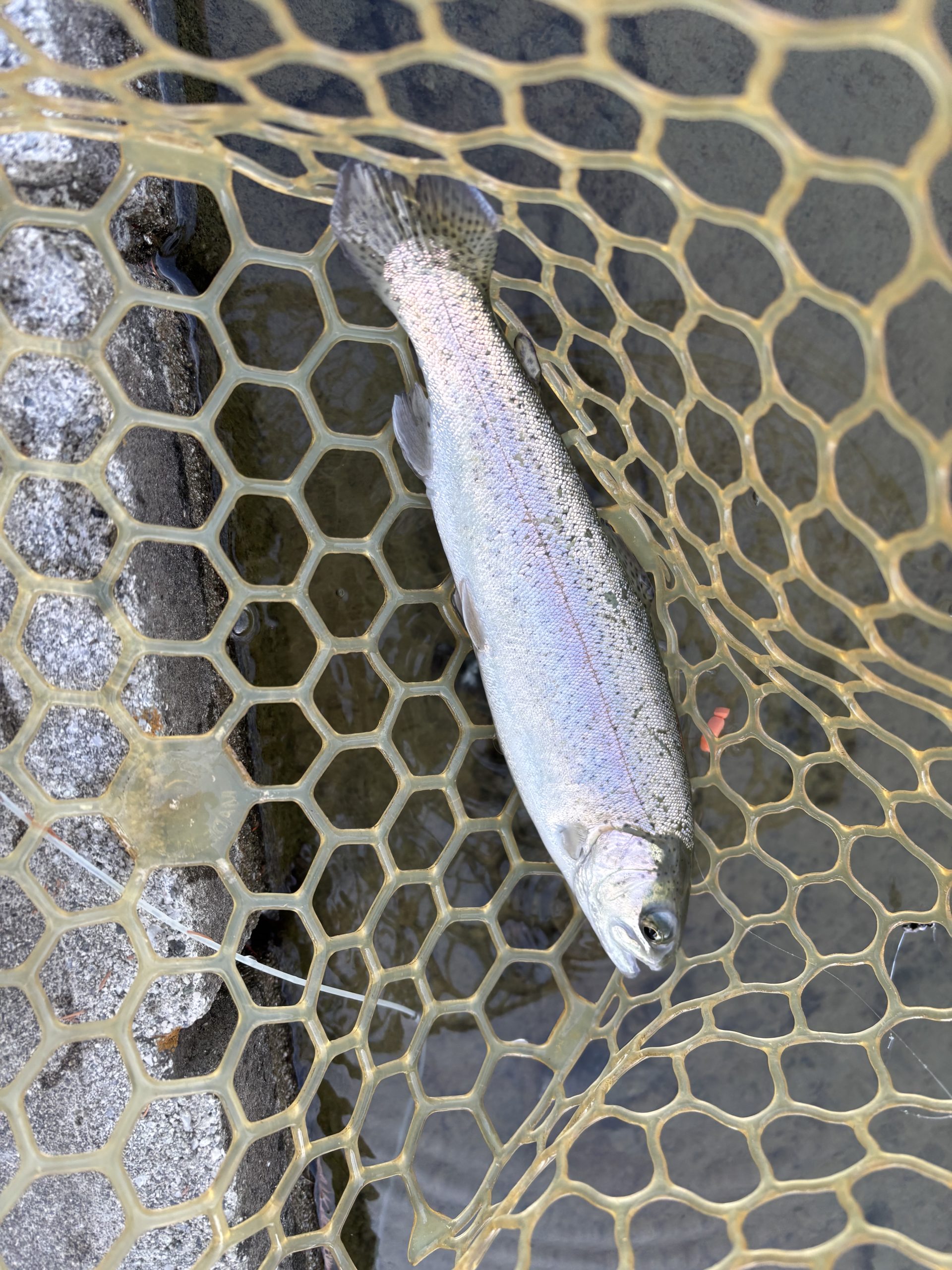 12月29日(月)　青梅市　鈴木さん