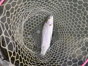 12月27日（土）入間市　大西さん