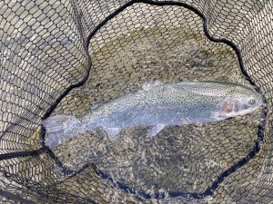 12月9日（火）昭島市　こいゆかさん