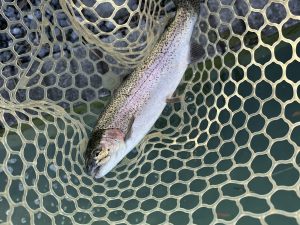 11月30日（日）　和光市　まるきさん