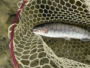 12月10日（水）所沢市　マサ内藤さん