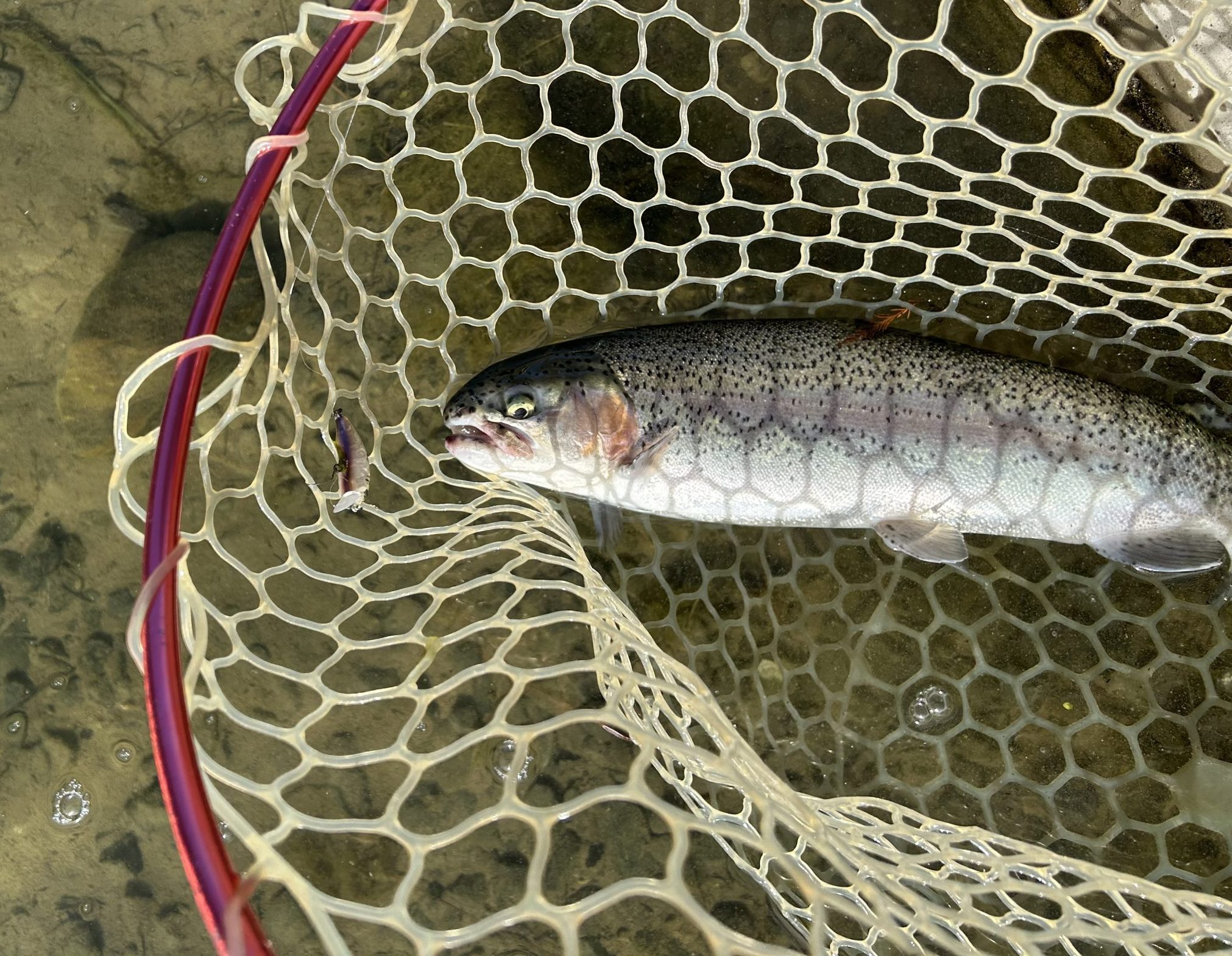 12月10日（水）所沢市　マサ内藤さん