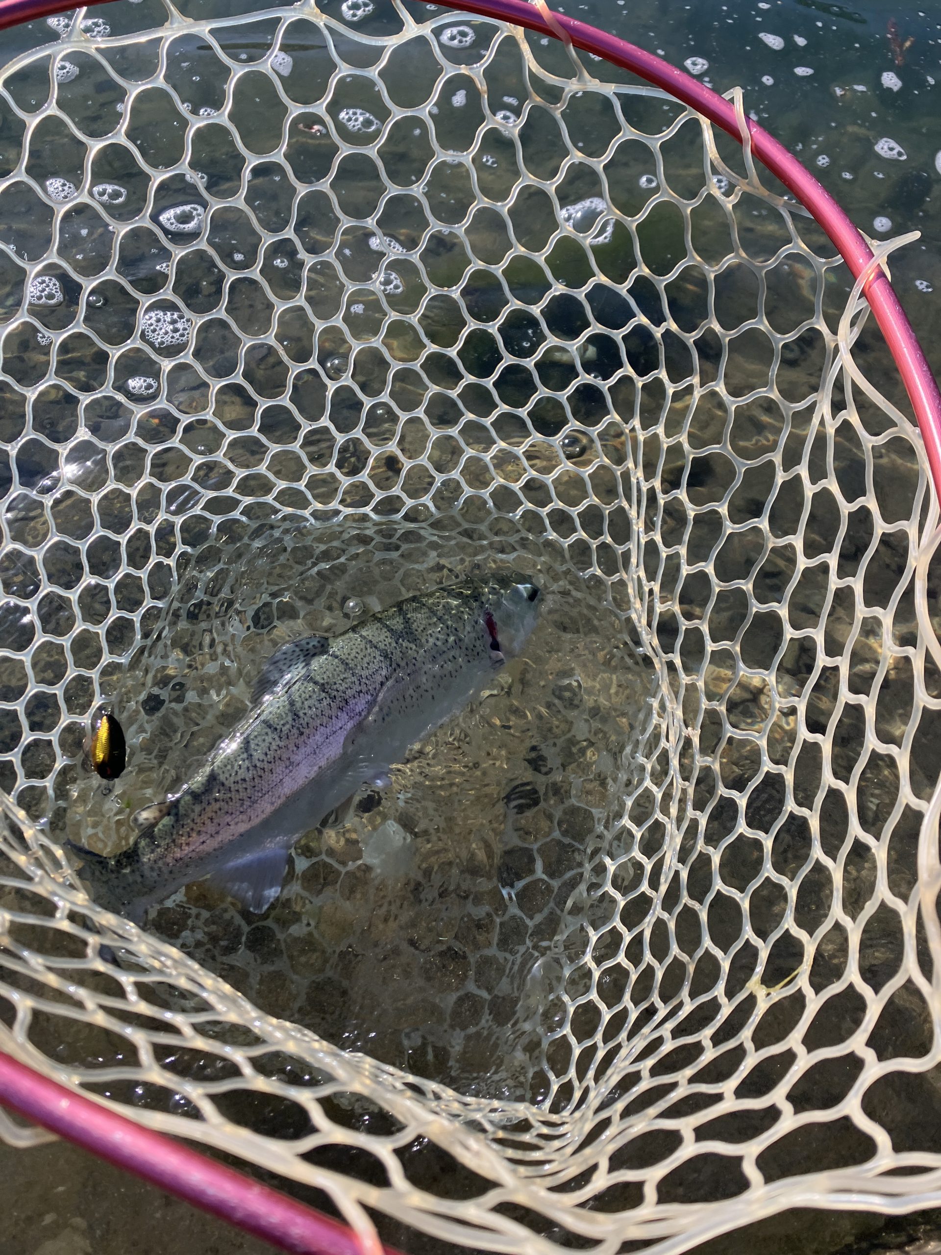 12月1日(月)　昭島市　まっちゃんさん