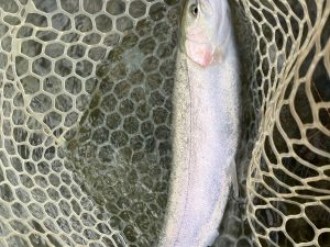 12月9日（火）文京区　さほてんさん