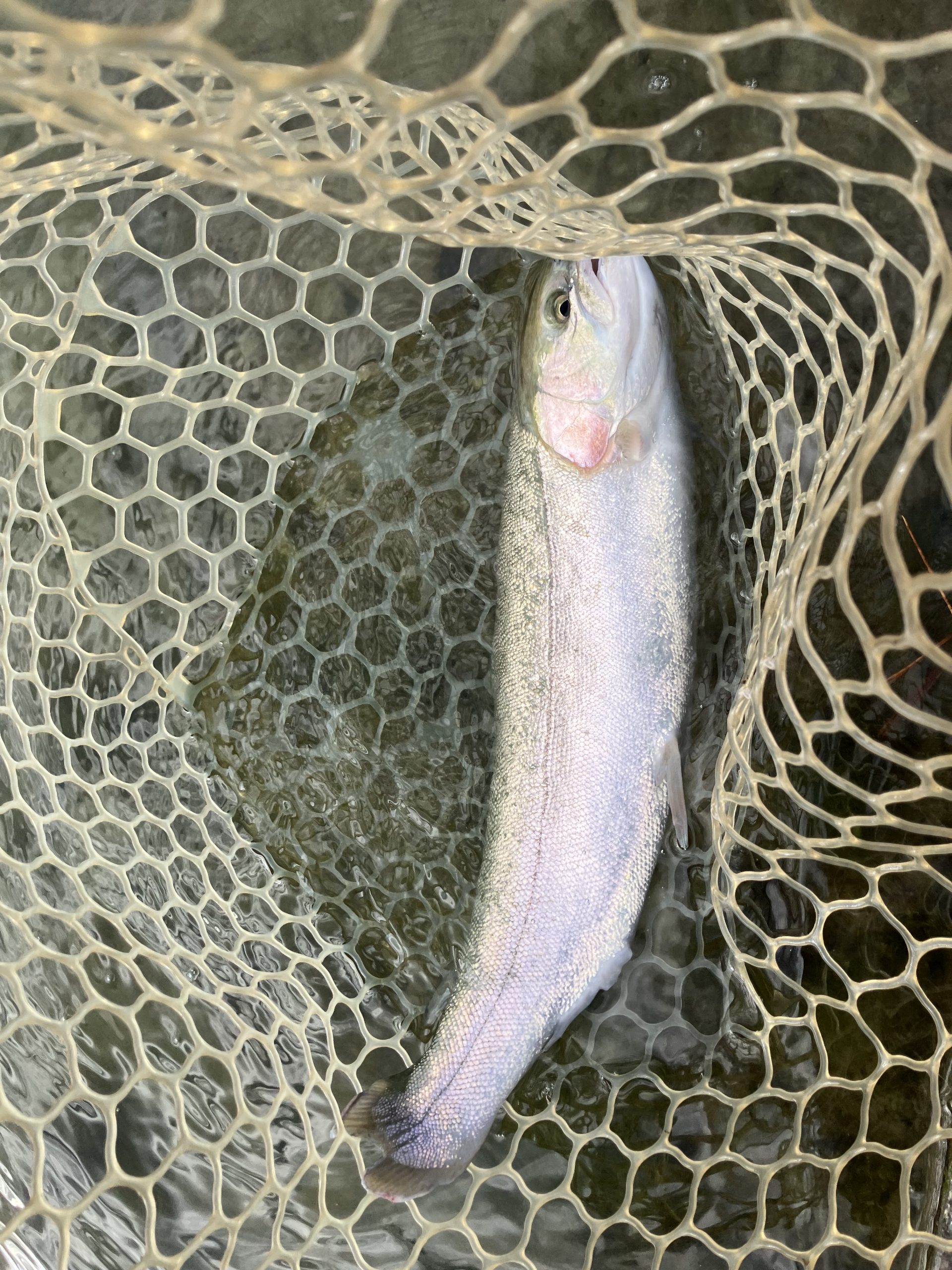 12月9日（火）文京区　さほてんさん