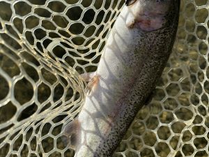 12月29日(月)　立川市　良イオ年ヲノ助さん