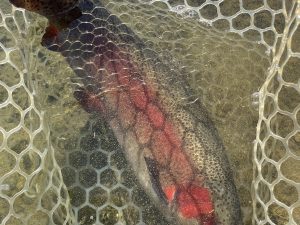 12月1日(月)　八王子市　宮城さん