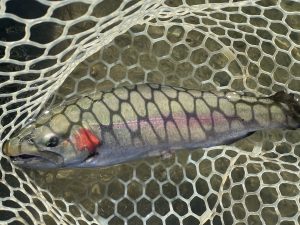 12月10日（水）八王子市　宮城さん