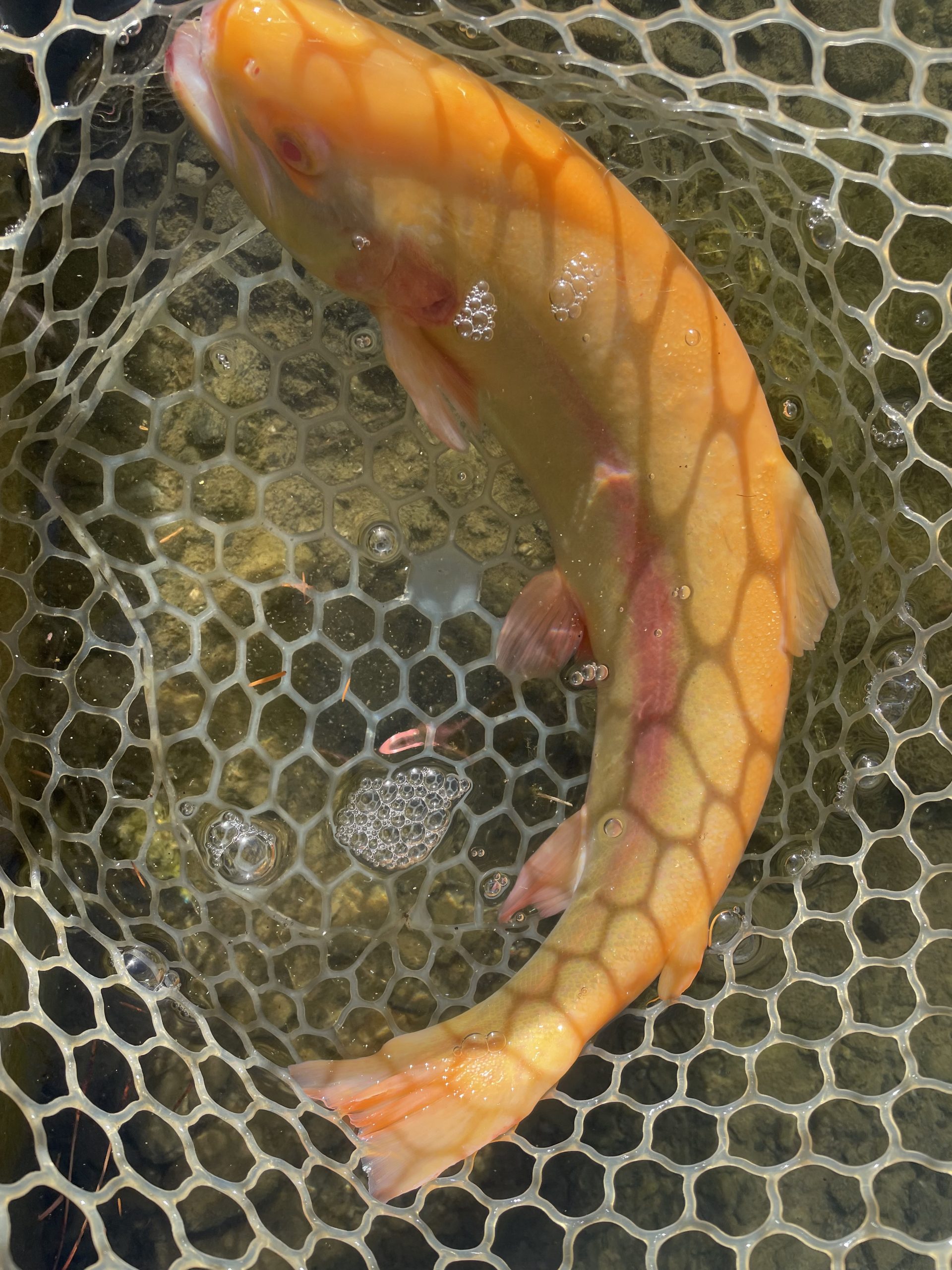 12月15日（月）　八王子市　宮城さん