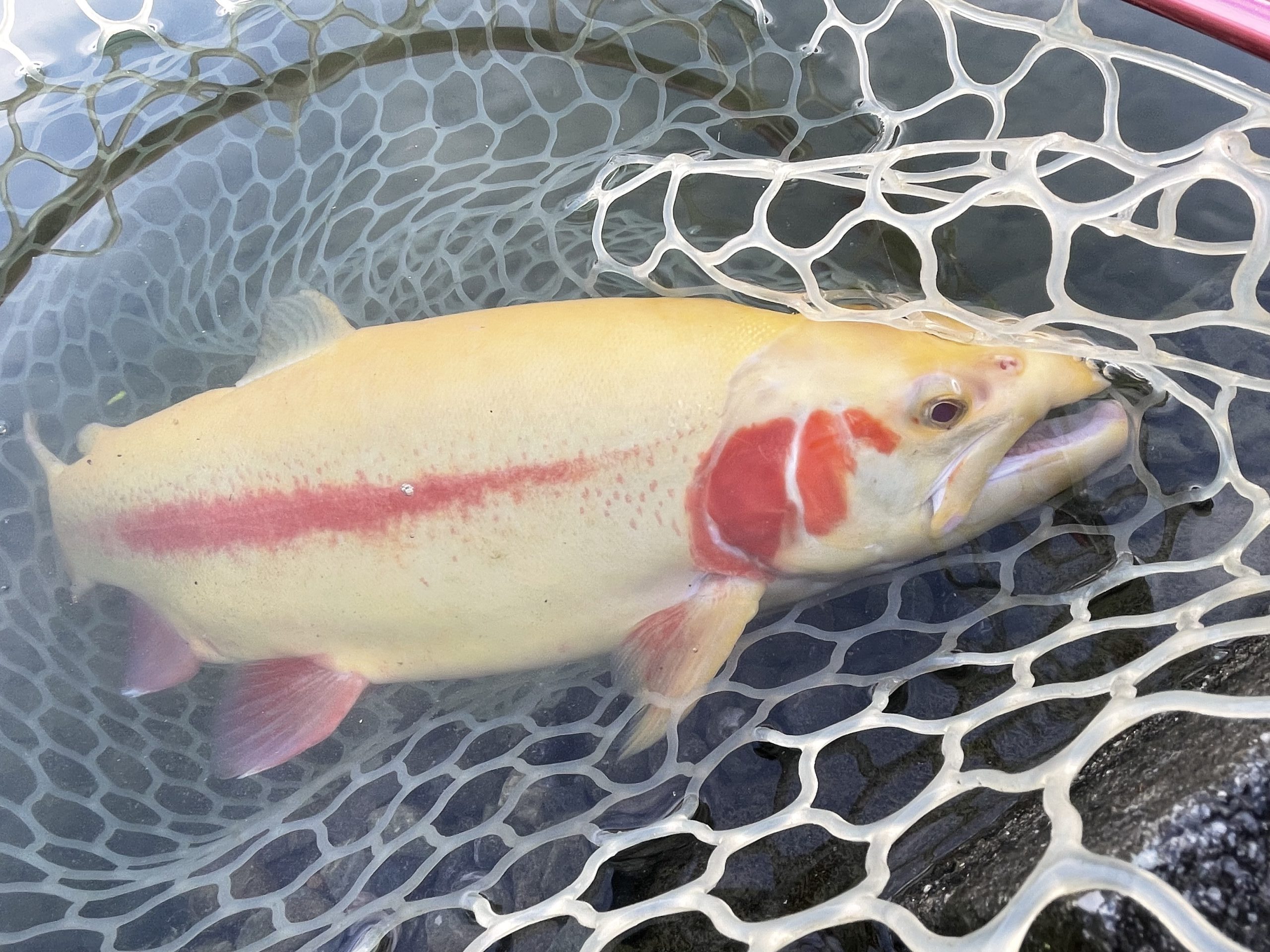 12月23日（火）八王子市　宮城さん