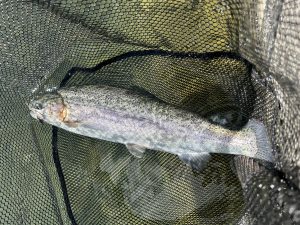 12月5日（金）町田市　から揚げ班長さん