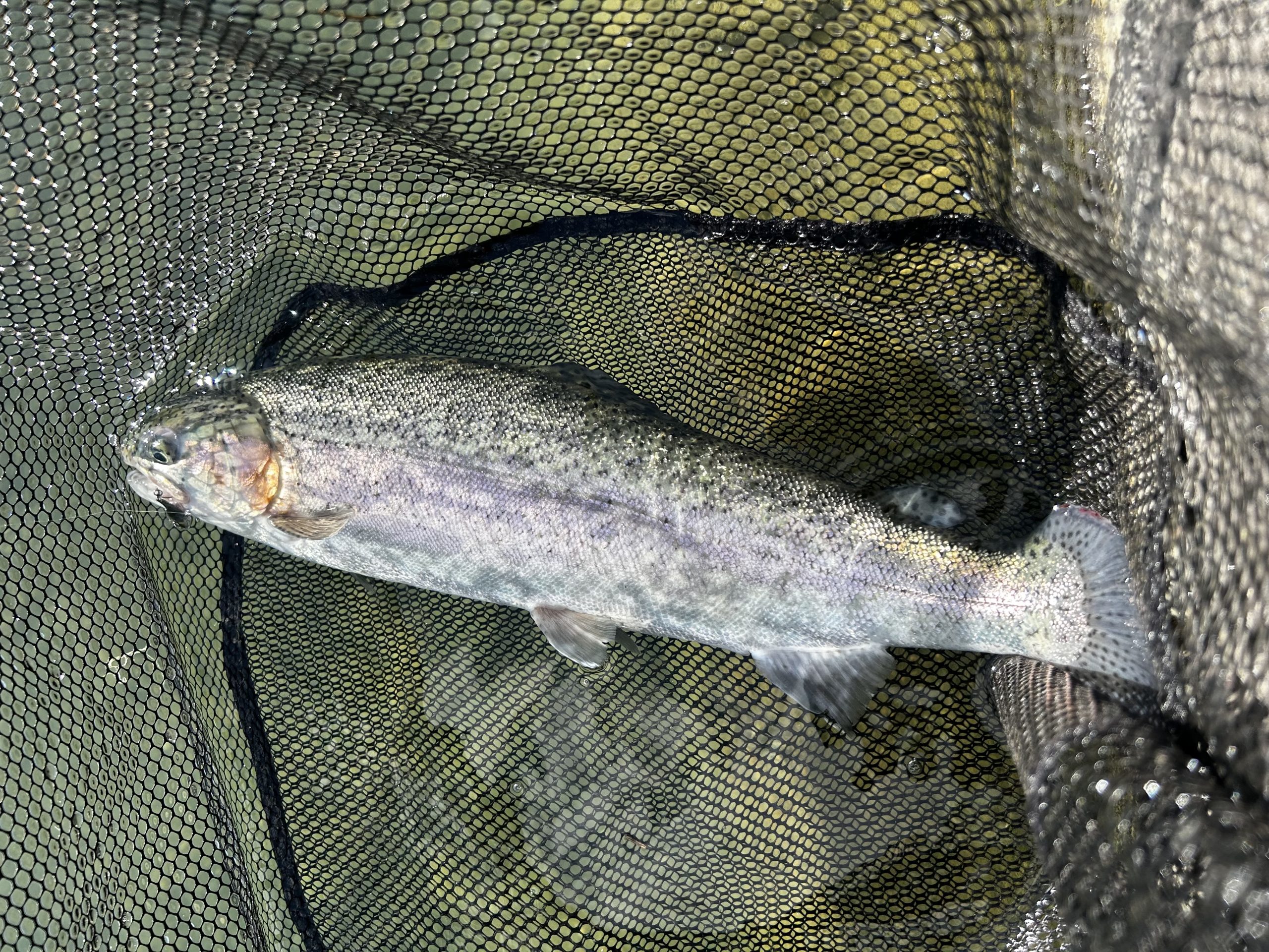 12月5日（金）町田市　から揚げ班長さん