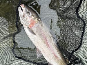 12月14日(日)　町田市　から揚げ班長さん