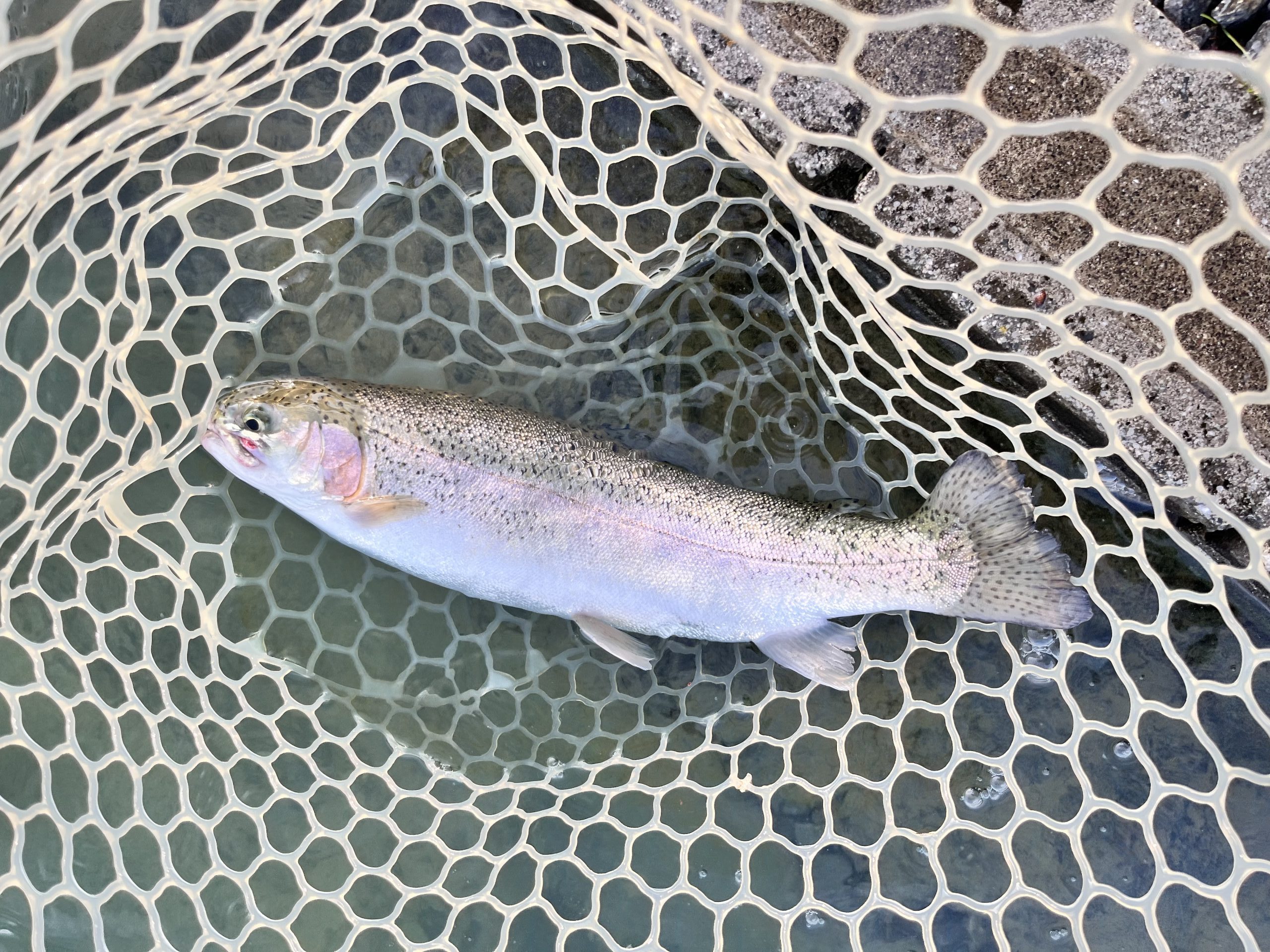 12月3日（水）所沢市　Neo　さん