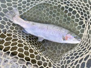 12月10日（水）所沢市　Neoさん