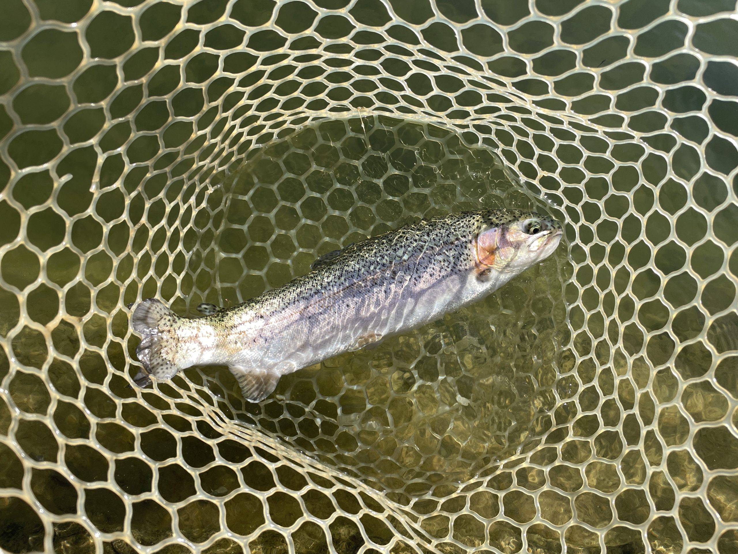 12月30日(火)　昭島市　カナチー家族さん