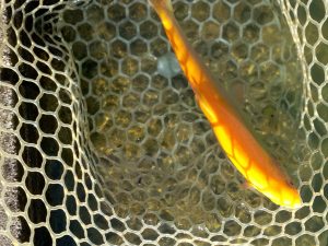 12月8日（月）あきる野市　Shige　さん