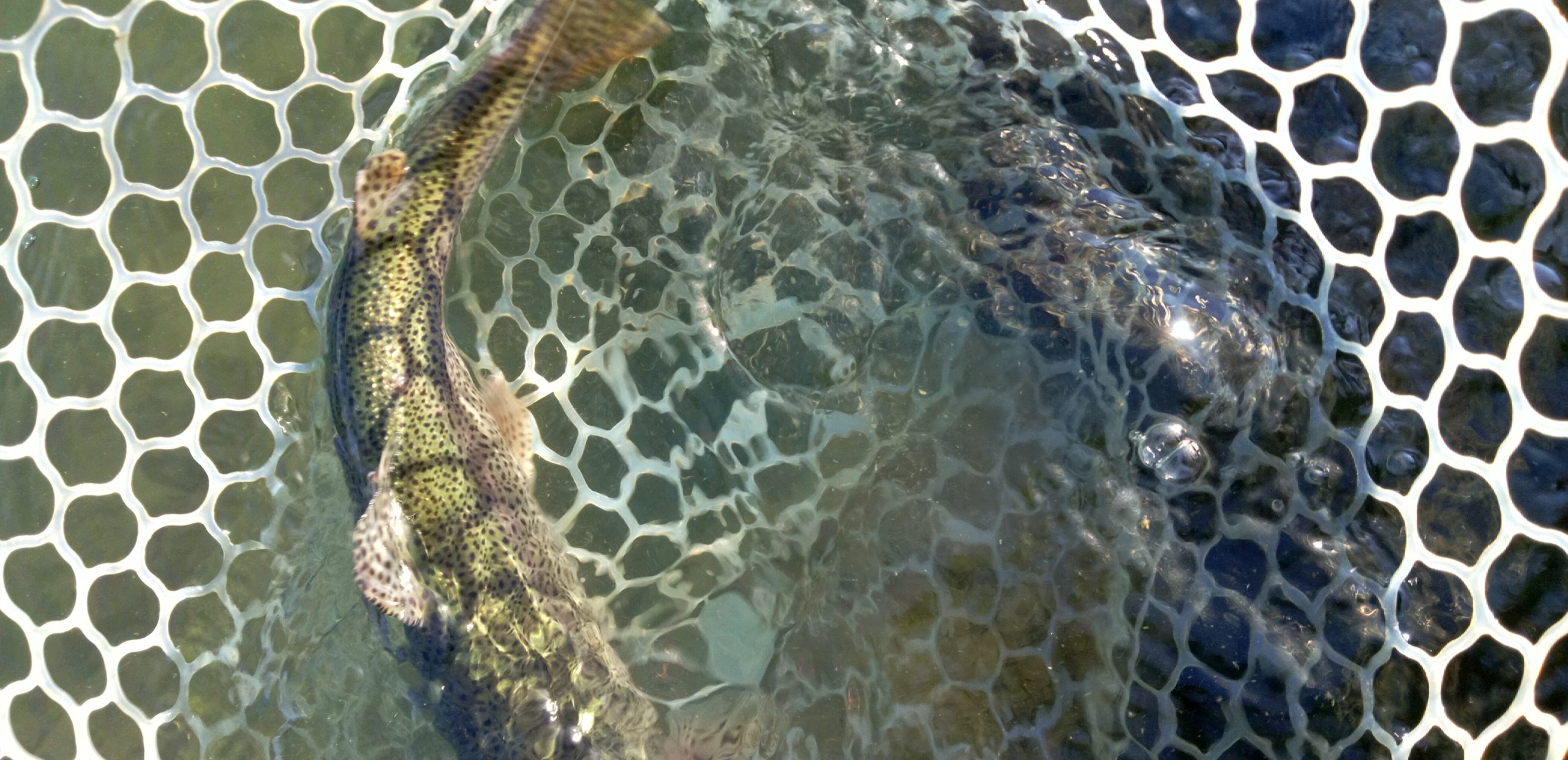 12月19日（金）　あきる野市　Shigeさん