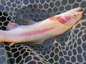 12月1日(月)　西東京市　hiroさん