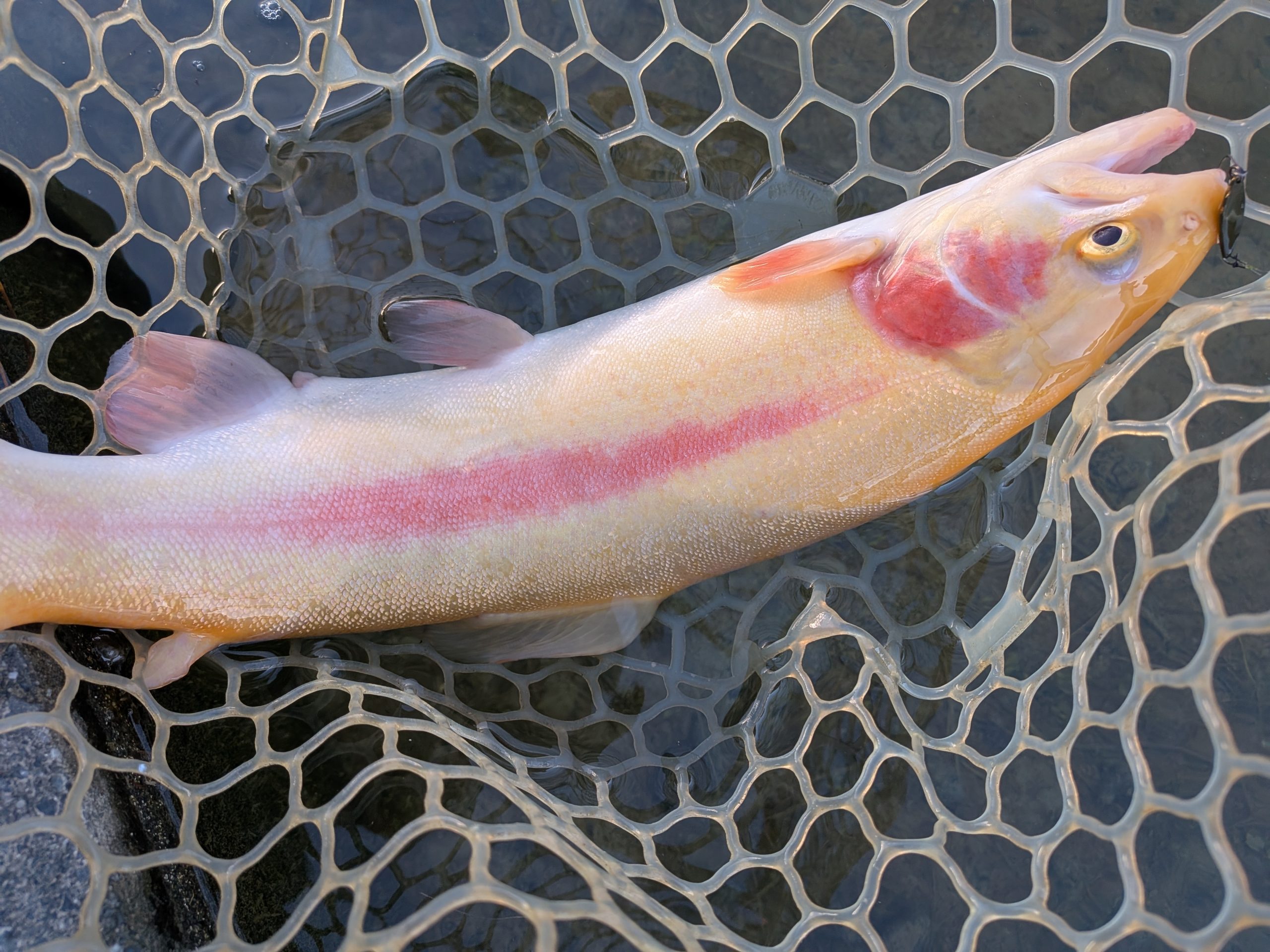 12月1日(月)　西東京市　hiroさん