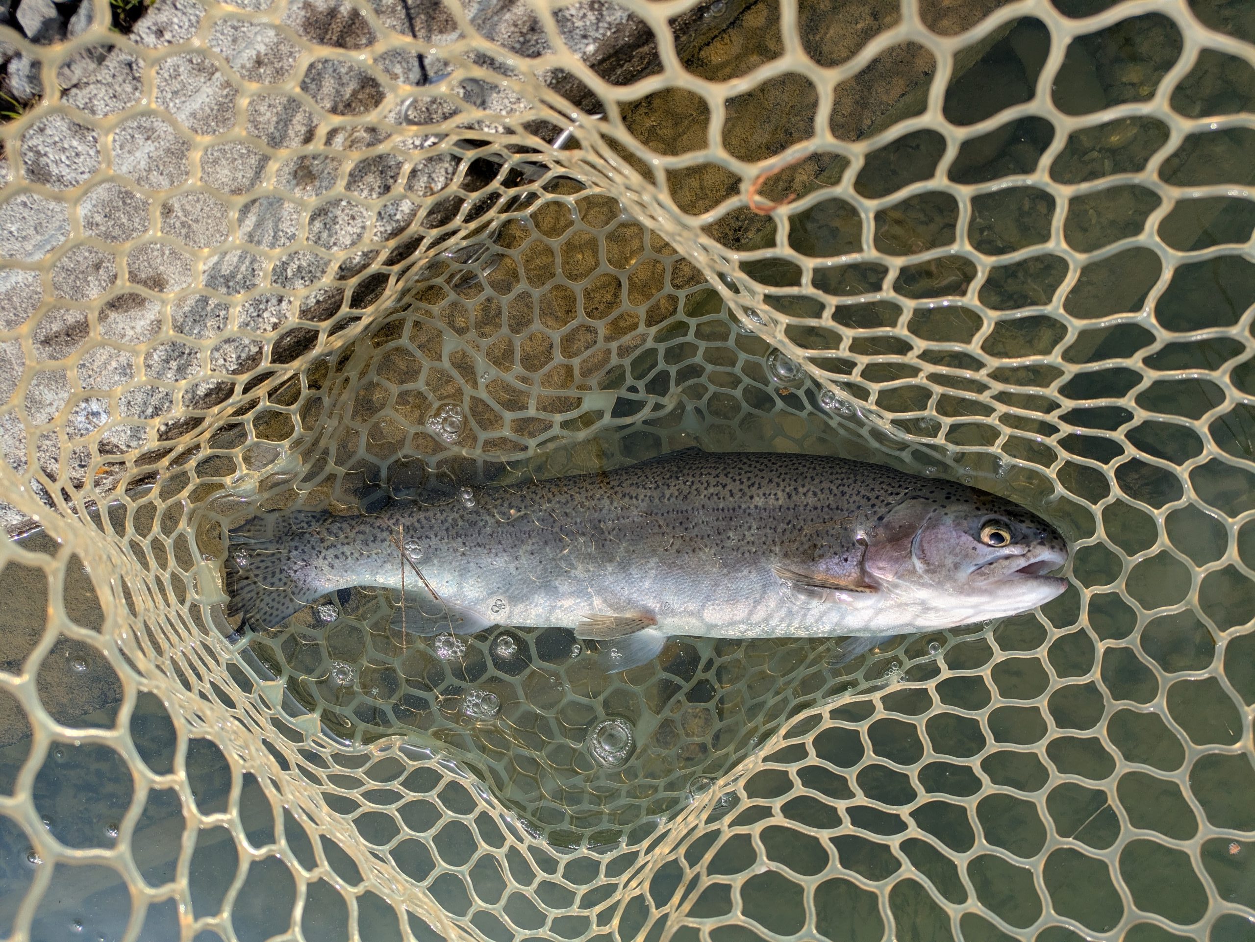 12月2日（火）狭山市　Getyさん